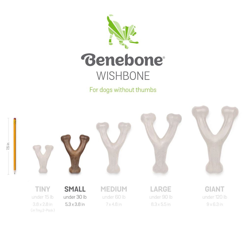 Benebone Wishbone Bacon Dog Chew Toy