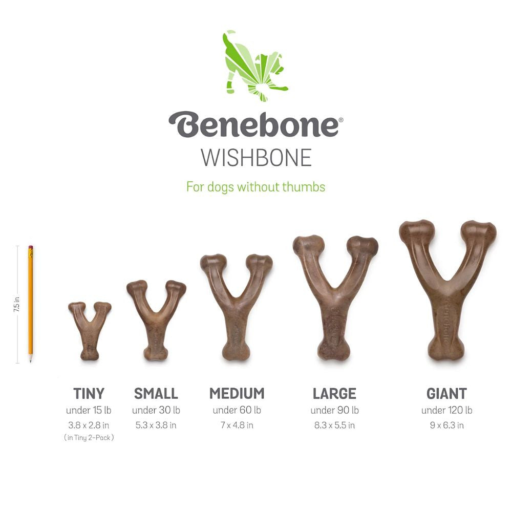 Benebone Puppy Wishbone Bacon Dog Chew Toy